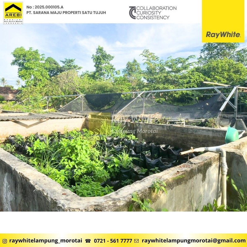 Dijual Tanah Bonus Bangunan