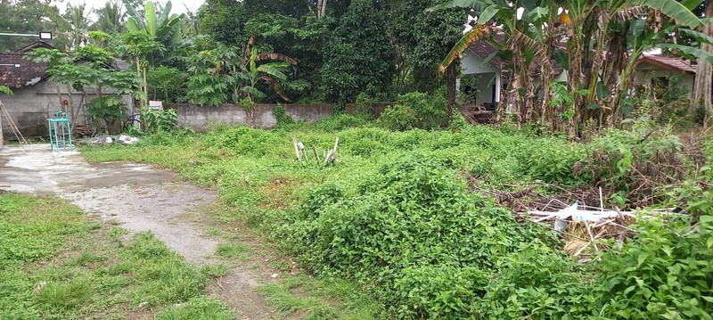 Tanah Pekarangan Siap Bangun Lokasi Strategis Dekat Pemda Sleman 
