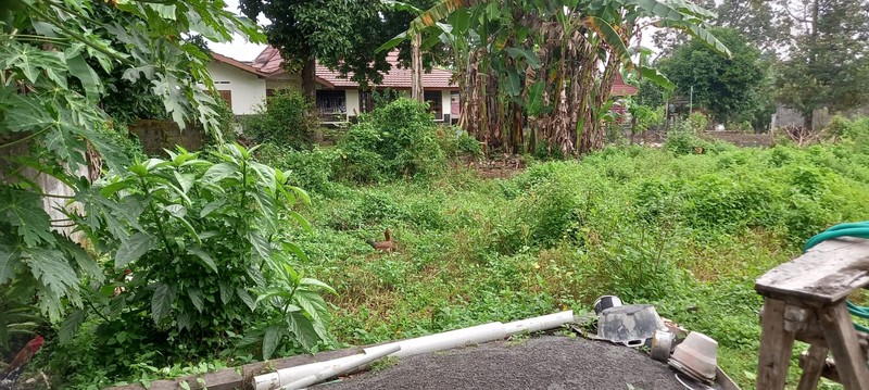 Tanah Pekarangan Siap Bangun Lokasi Strategis Dekat Pemda Sleman 