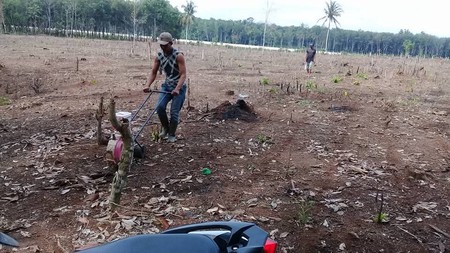 tanah 3 hektare di natar lampung selatan