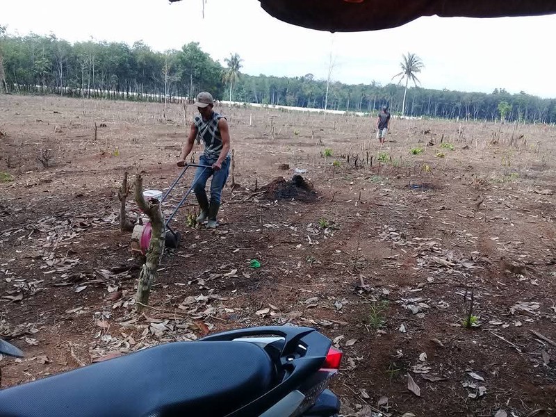 tanah 3 hektare di natar lampung selatan