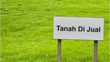 Dijual 1600 m2 Tanah NOL Jalan Raya JL.Raya Domas ( Menganti - Gresik - JATIM)