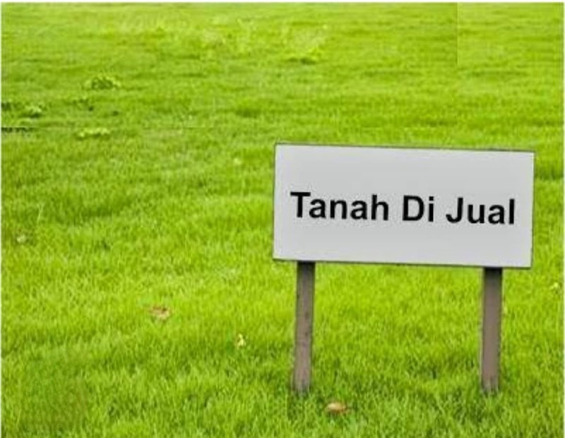 Dijual 1600 m2 Tanah NOL Jalan Raya JL.Raya Domas ( Menganti - Gresik - JATIM)