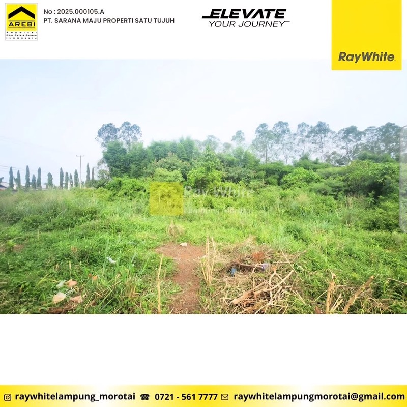 Tanah Murah Luas 5000 di Hajimena, Natar