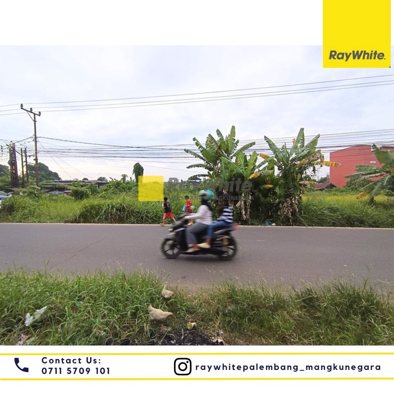 Disewakan Tanah di Jl. Politeknik Kel. Bukit Lama Kec. Ilir Bar. I, Kota Palembang