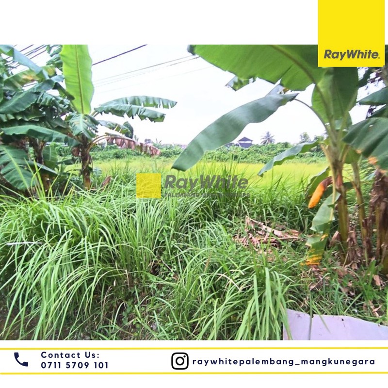 Disewakan Tanah di Jl. Politeknik Kel. Bukit Lama Kec. Ilir Bar. I, Kota Palembang