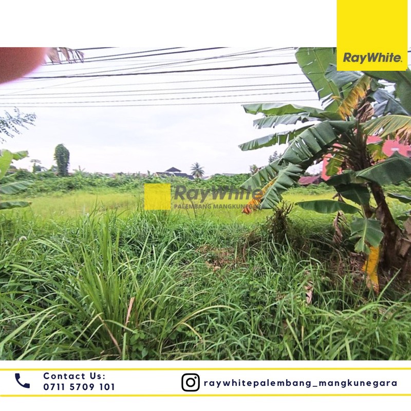 Disewakan Tanah di Jl. Politeknik Kel. Bukit Lama Kec. Ilir Bar. I, Kota Palembang