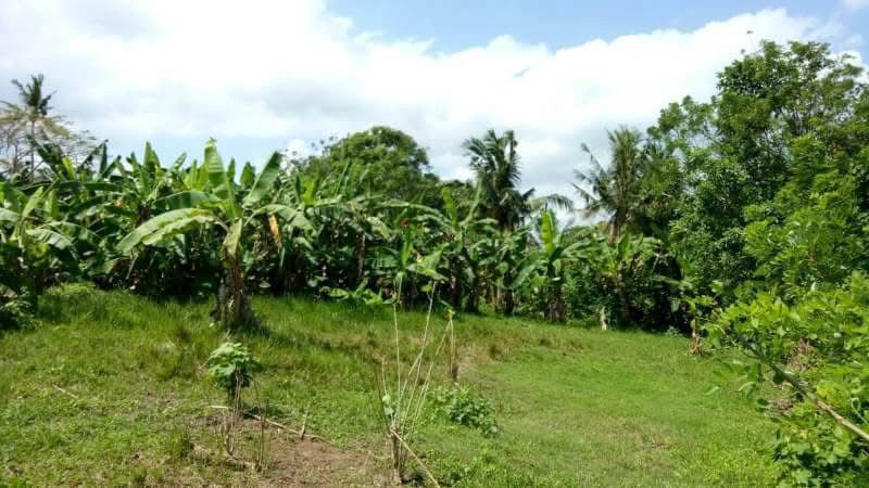 Freehold - Land Near Balian Beach, Bali Only 200m to Shore