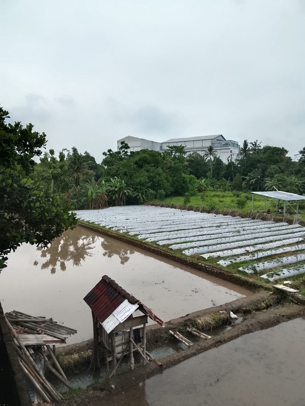 Rumah 2 Lantai di Lokasi Strategis Dekat SCH & Pusat Pemerintahan, Tridadi, Sleman