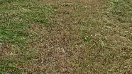 Kavling siap bangun di Ciracas