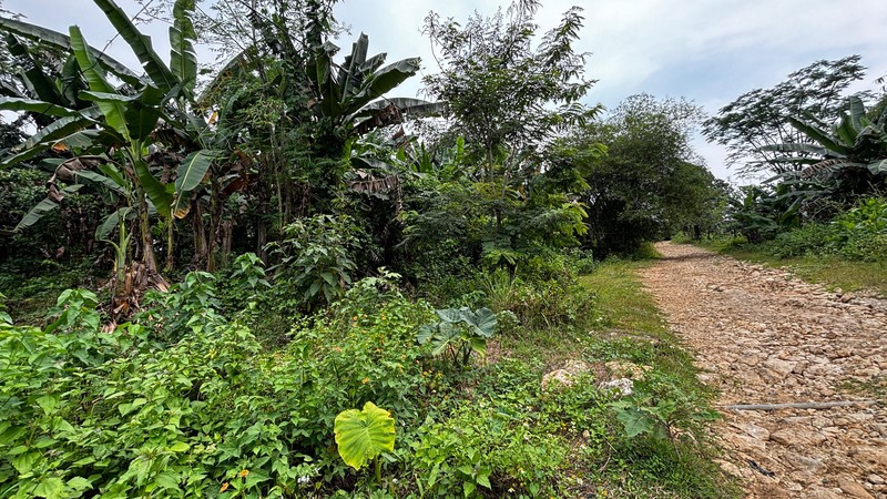 Lahan Tanah Datar Luas 14 Ha Di Klapanunggal Bogor