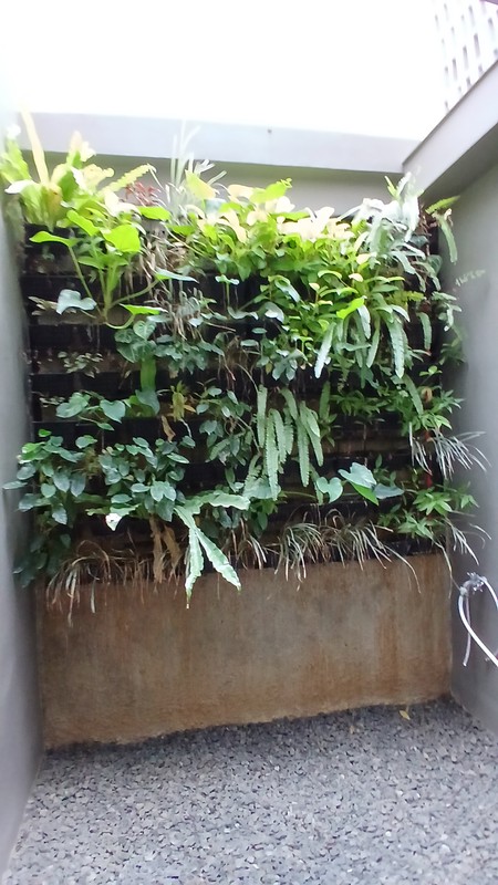 Rumah Kost Dijual Cepat