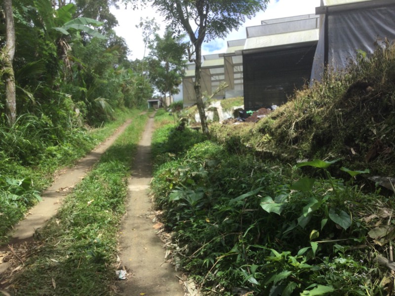 Land Freehold Taro Ubub Bali