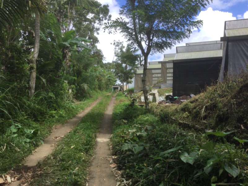 Land Freehold Taro Ubub Bali