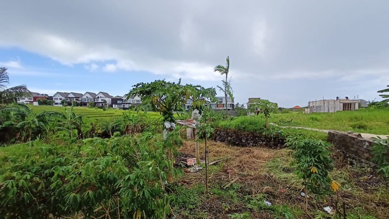 Freehold - Prime Tourism Land only 5 Minutes' Walk to Mengening Beach, Bali