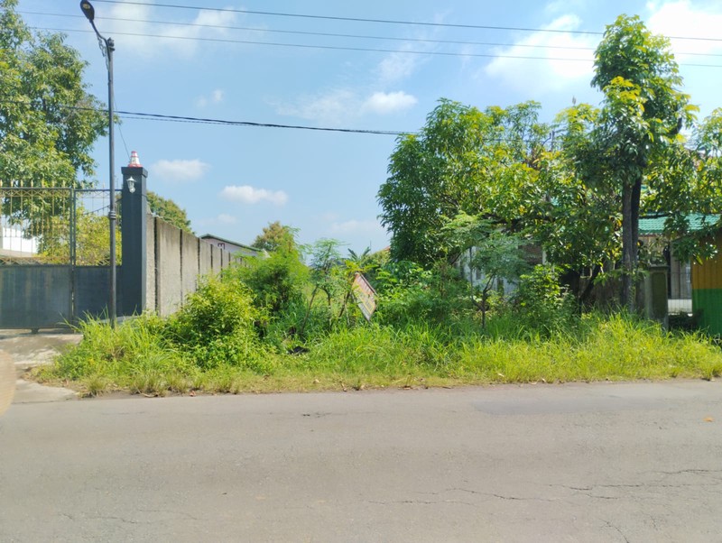 Dijual Tanah Sawah Produktif  Luas 2365 Meter Persegi  Lokasi Strategis - Bakalan, Ceper, Klaten