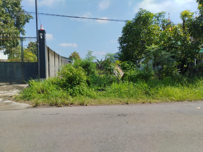 Dijual Tanah Sawah Produktif  Luas 2365 Meter Persegi  Lokasi Strategis - Bakalan, Ceper, Klaten