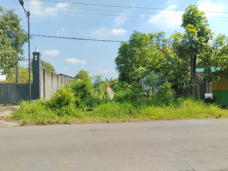 Dijual Tanah Sawah Produktif  Luas 2365 Meter Persegi  Lokasi Strategis - Bakalan, Ceper, Klaten