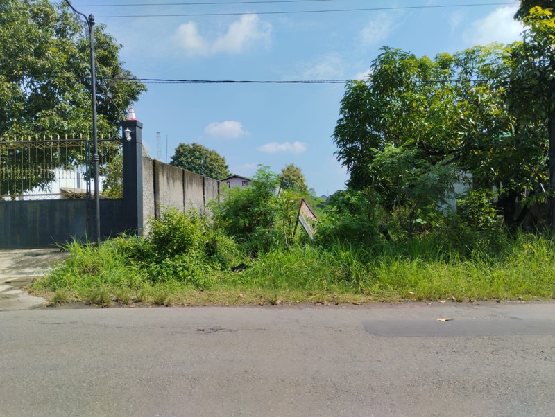 Dijual Tanah Sawah Produktif  Luas 2365 Meter Persegi  Lokasi Strategis - Bakalan, Ceper, Klaten