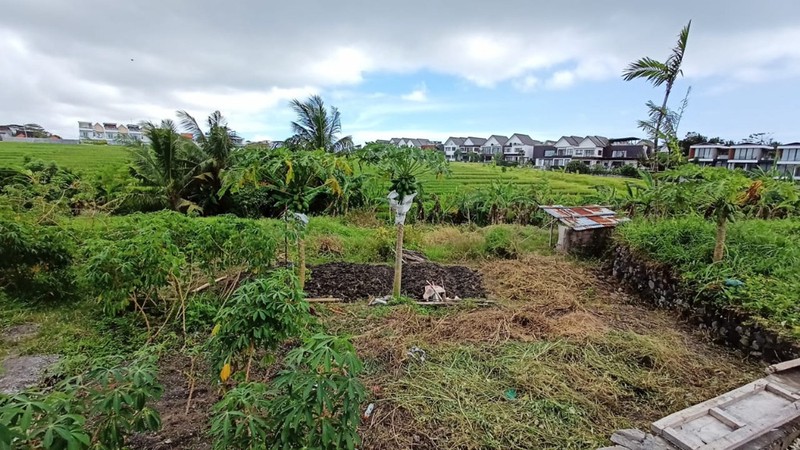 Freehold - Prime Tourism Land only 5 Minutes' Walk to Mengening Beach, Bali