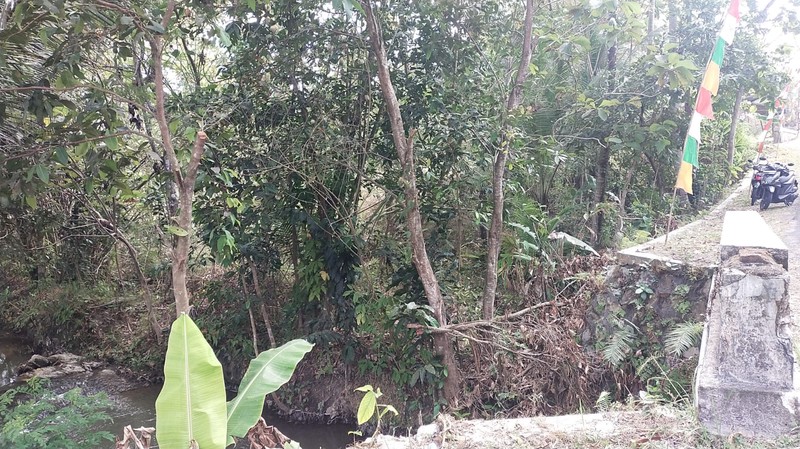 Dijual Tanah Luas 131 Meter Persegi Lokasi Startegis di Nanggulan Kulon Progo 