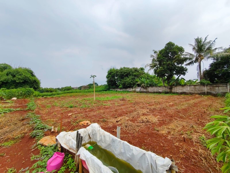 Kavling Siap Bangun Di Jl Raya Krukut (Samping Matoa Hills) Depok