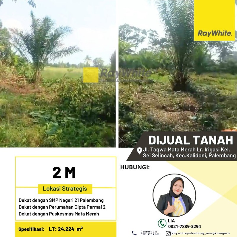 TANAH JUAL MURAH PALEMBANG 