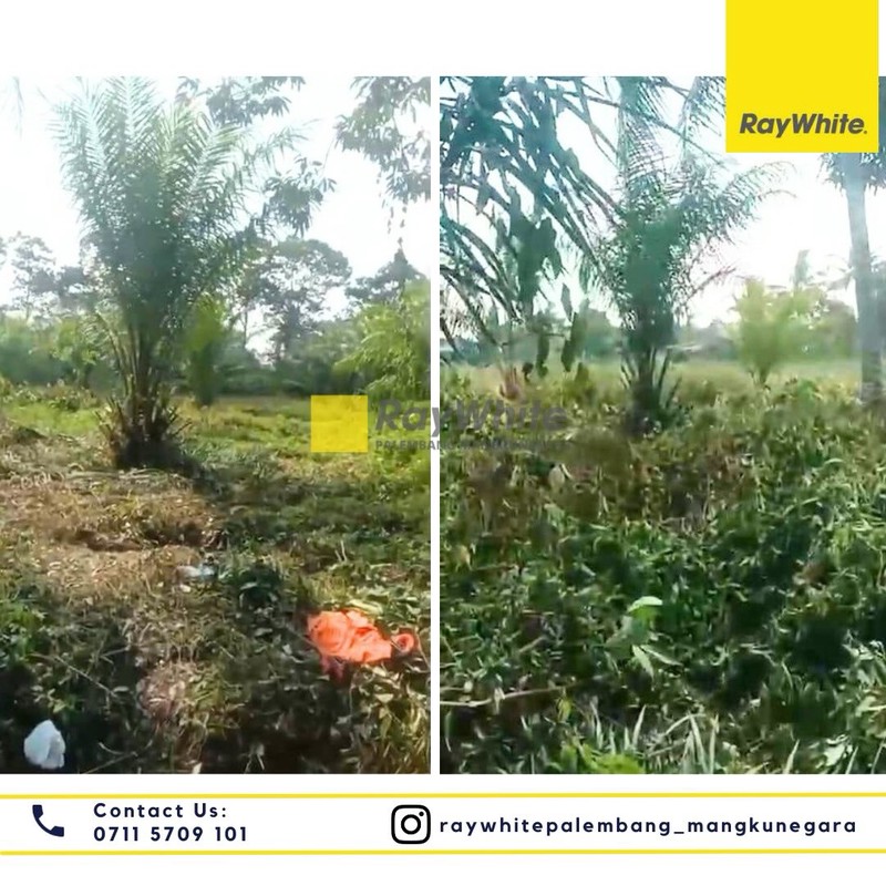 TANAH JUAL MURAH PALEMBANG 