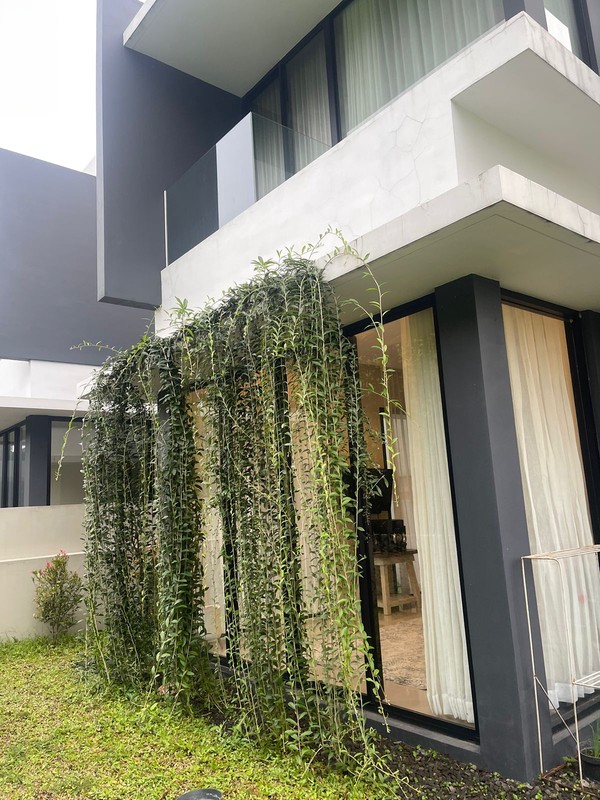 Dijual Rumah Villa Taman Dayu Cluster Bloomfield Mountain Hunian Modern Golf Area Ciputra Golf Pandaan Pasuruan Jatim 