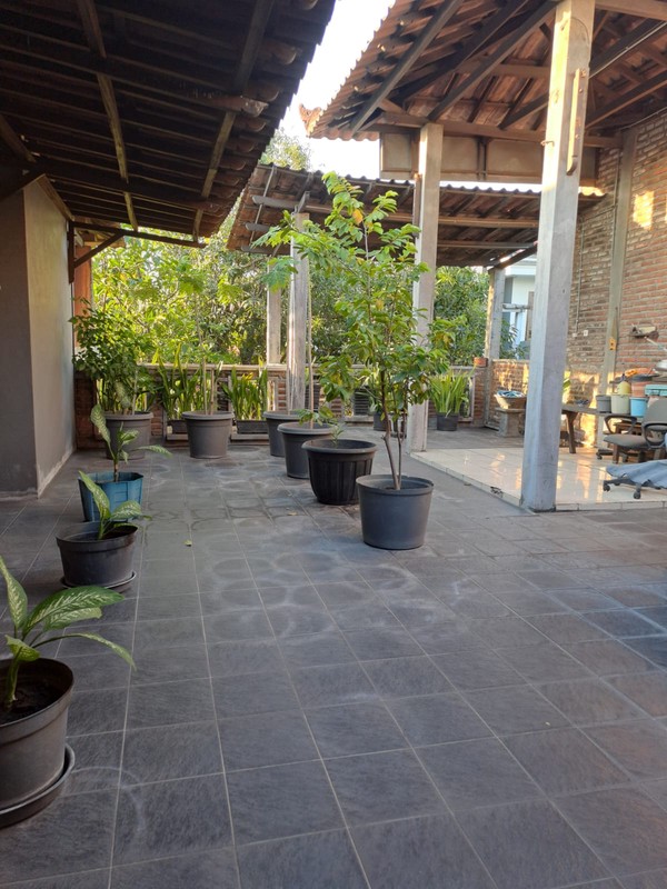 Dijual Rumah Duku Pondok Tjandra Surabaya Timur  