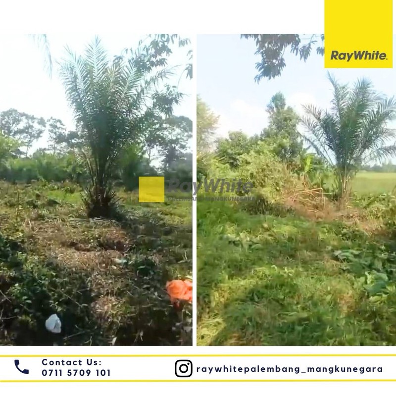 RUMAH JUAL MURAH PALEMBANG 