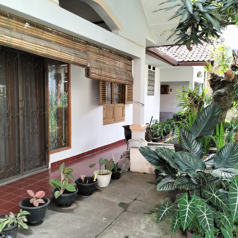 RUmah 1 Lantai, Asri, longkungan nyaman dan nyaman