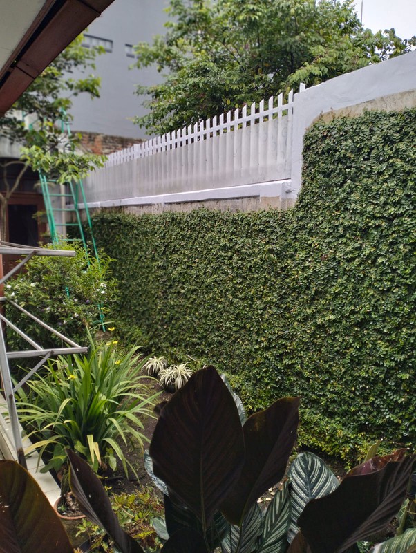 RUmah 1 Lantai, Asri, longkungan nyaman dan nyaman