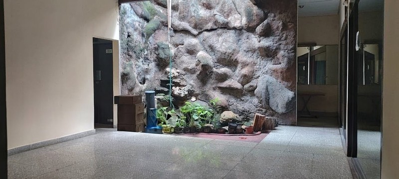 Di jual rumah asri di warung jati barat, pejaten