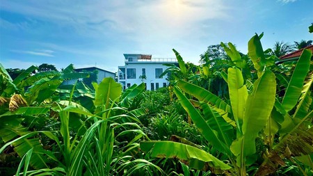 For Sale Leasehold - Brand new hidden cozy villa close to Pererenan , Bali