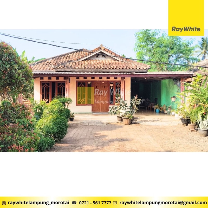 Dijual Rumah berlokasi di Sidomulyo, Kota Dalam, Lampung Selatan ( Pinggir Jalan Transumatera )