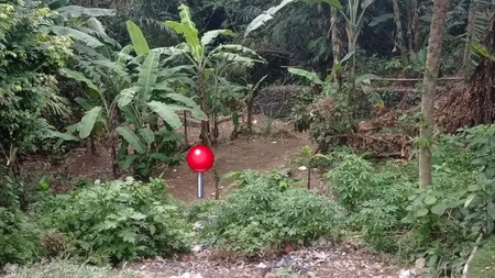 Land Freehold In Dalung Bali