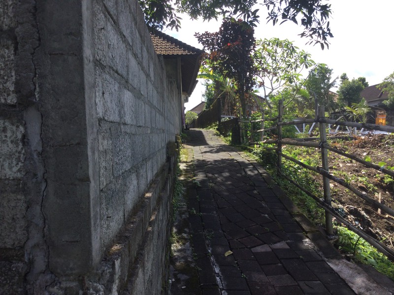 Land Freehold In Dalung Bali