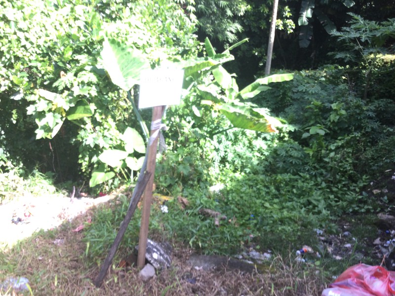 Land Freehold In Dalung Bali