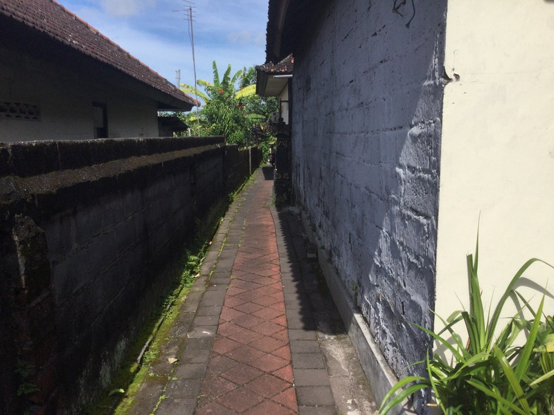 Land Freehold In Dalung Bali