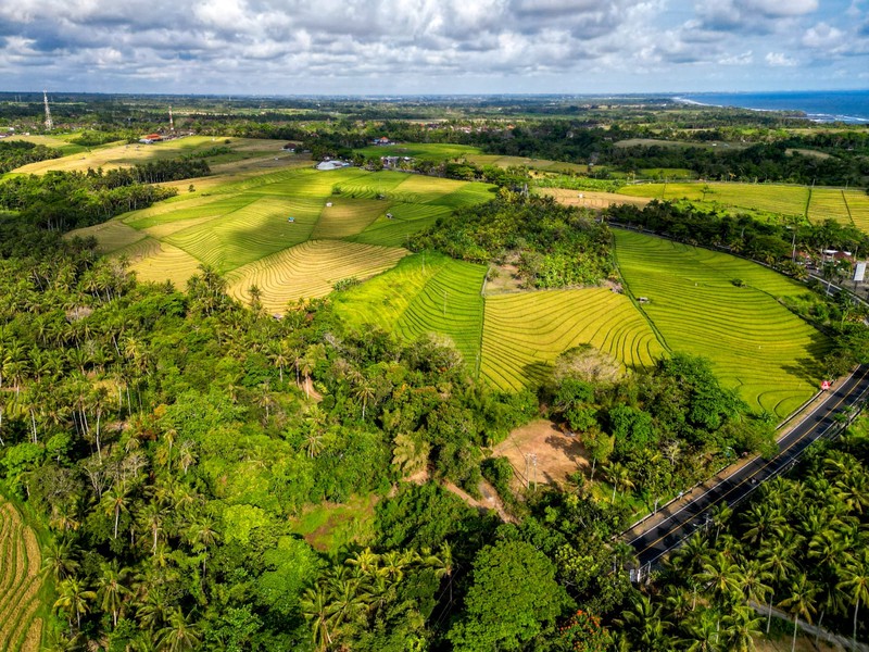 Land Freehold Close Soka Beach Tabanan Bali