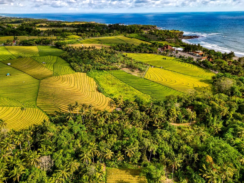 Land Freehold Close Soka Beach Tabanan Bali