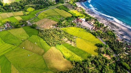 Land Freehold Close Soka Beach Tabanan Bali