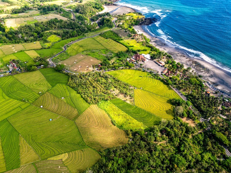 Land Freehold Close Soka Beach Tabanan Bali