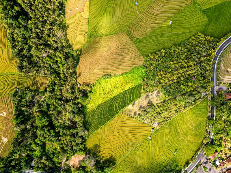 Land Freehold Close Soka Beach Tabanan Bali
