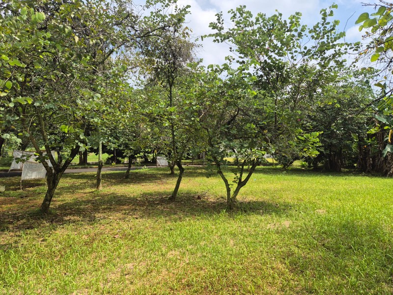 Kavling Cluster Residential Hoek di Grand Wisata Bekasi