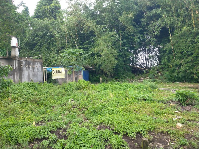 Kavling Tanah Murah di Gambiran Lingkungan Asri & Akses Mudah, Berbah, Sleman