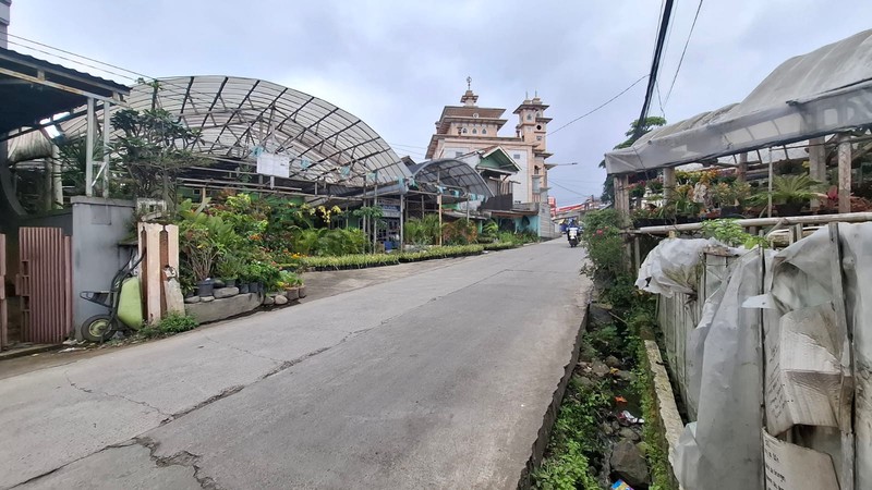 Tempat Usaha di Pusat Tanaman Hias Jl Sersan Bajuri 