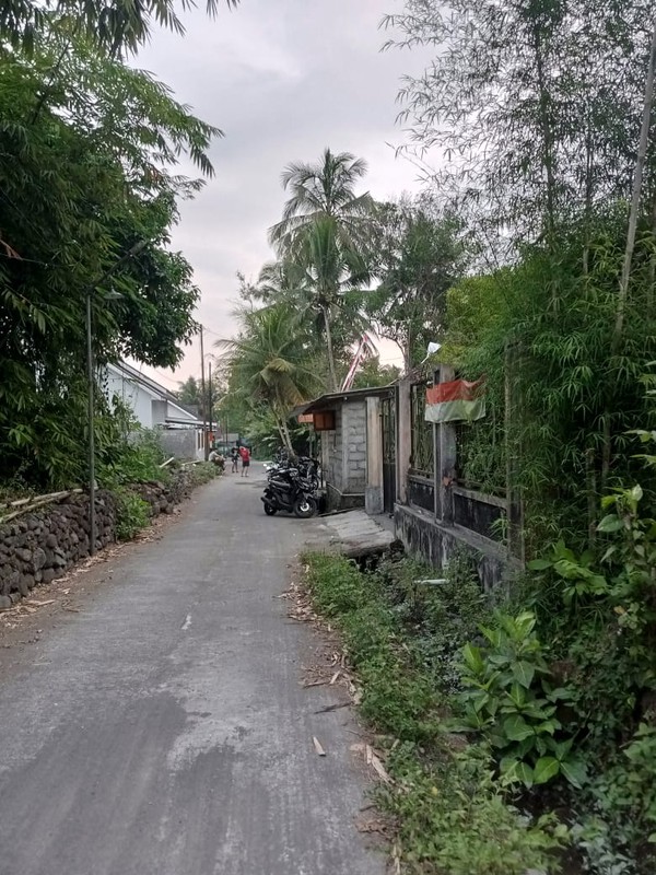 Tanah Ngantong Strategis Cocok untuk Villa & Rumah Pensiun, Lumbungrejo, Tempel, Sleman