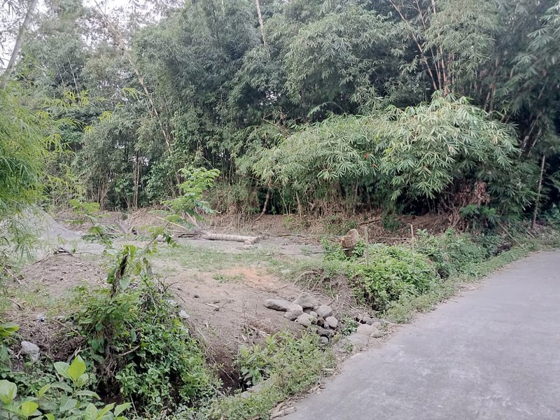 Tanah Ngantong Strategis Cocok untuk Villa & Rumah Pensiun, Lumbungrejo, Tempel, Sleman